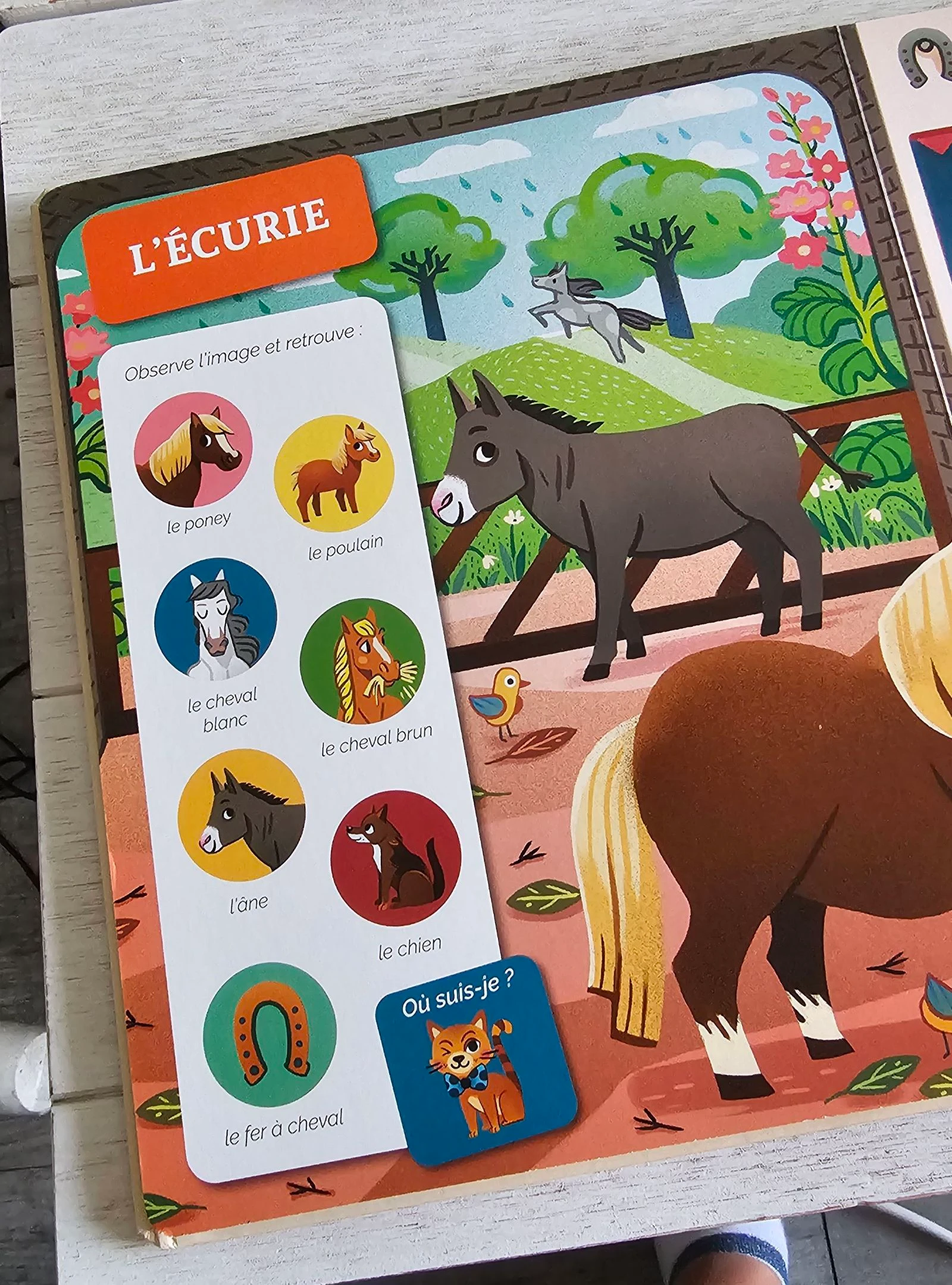Libro 📙 busca y encuentra – photo 5